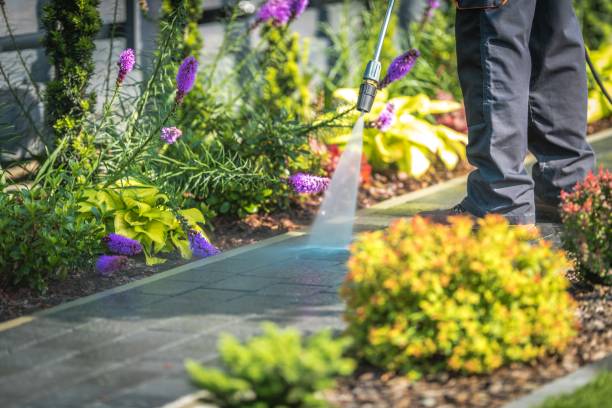Best Spring Cleaning  in Pipestone, MN
