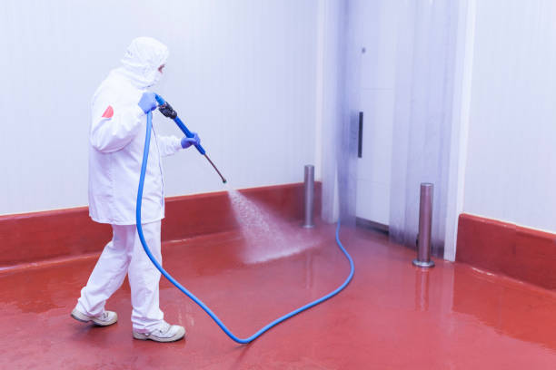 Best Dumpster Area Cleaning  in Pipestone, MN